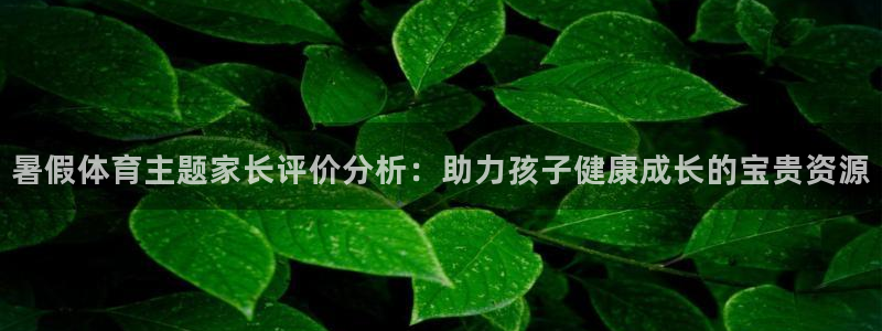 ns150xc：暑假体育主题家长评价分析：助力孩子健康成长的宝贵资源