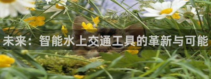 杏彩注册：未来：智能水上交通工具的革新与可能