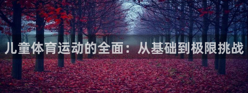 xc是什么英文缩写：儿童体育运动的全面：从基础到极限挑战