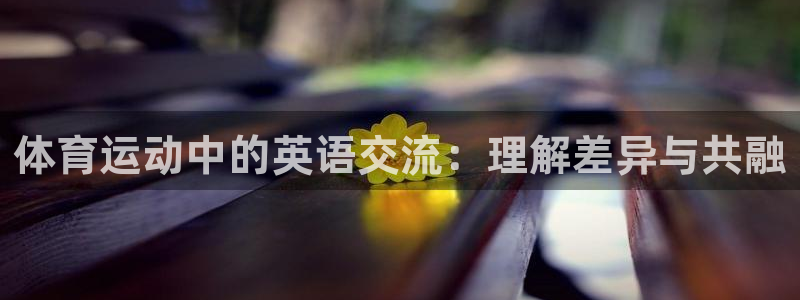 汽车xc是什么意思：体育运动中的英语交流：理解差异与共融