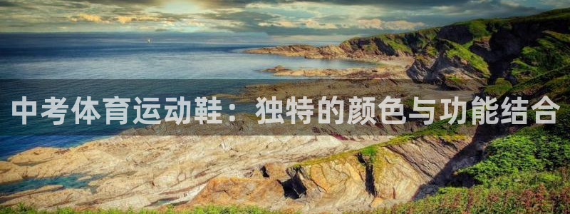 xc90 xc60区别：中考体育运动鞋：独特的颜色与功能结合