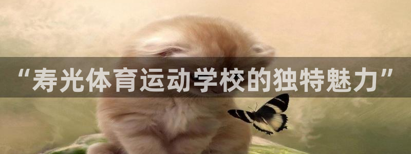 xc变红是什么意思：“寿光体育运动学校的独特魅力”