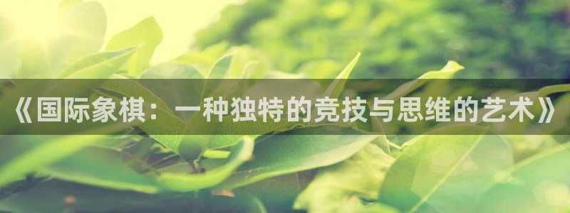 钢结构xc表示什么：《国际象棋：一种独特的竞技与思维的艺术》