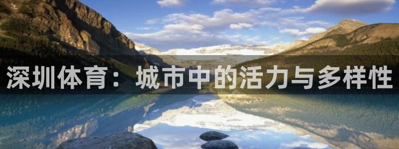 xc-：深圳体育：城市中的活力与多样性