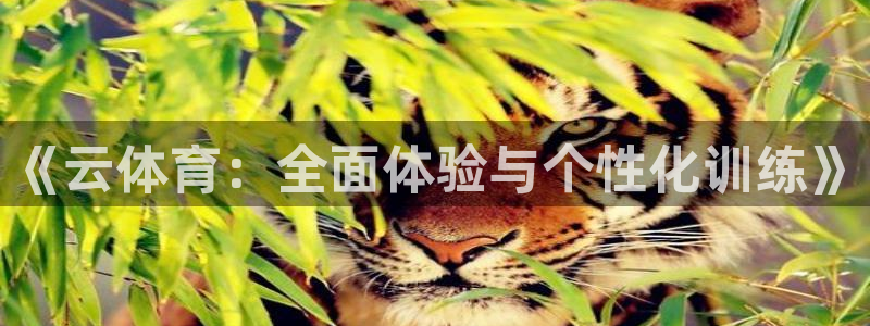 杏彩xc2体育登录入口：《云体育：全面体验与个性化训练》