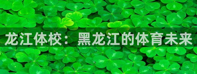 杏彩客户端：龙江体校：黑龙江的体育未来