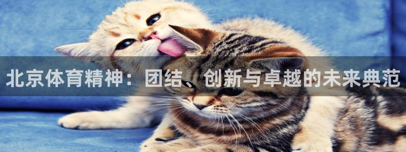 qywi.xc：北京体育精神：团结、创新与卓越的未来典范