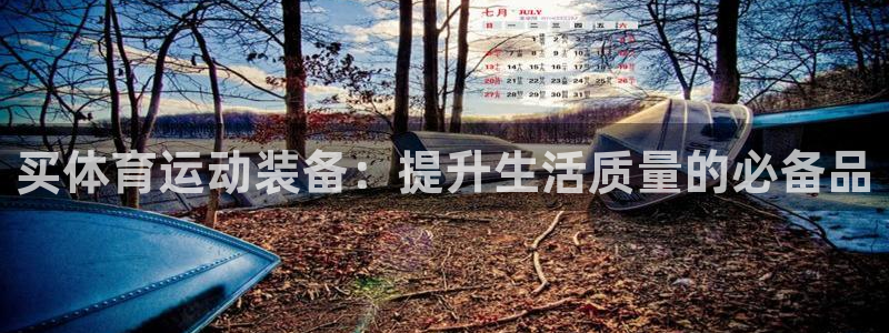 杏彩xc集团：买体育运动装备：提升生活质量的必备品