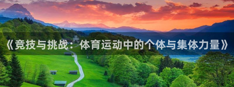 xc是什么国家：《竞技与挑战：体育运动中的个体与集体力量》