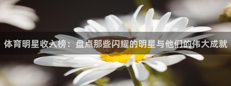 杏彩注册：体育明星收入榜：盘点那些闪耀的明星与他们的伟大成就