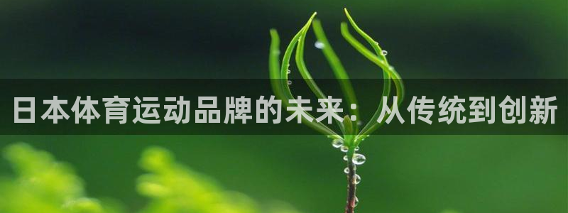 xl和xc分别表示什么：日本体育运动品牌的未来：从传统到创新