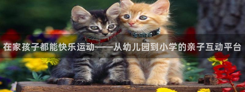杏彩xc平台注册入口：在家孩子都能快乐运动——从幼儿园到小学的亲子互动平台