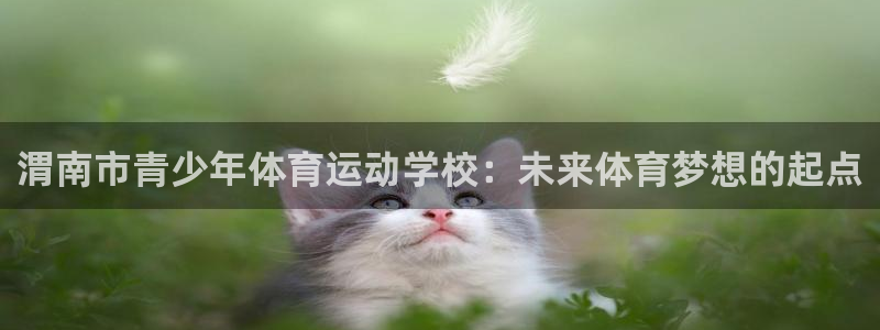 佛山市南海杏彩xc机电仪器有限公司：渭南市青少年体育运动学校：未来体育梦想的起点