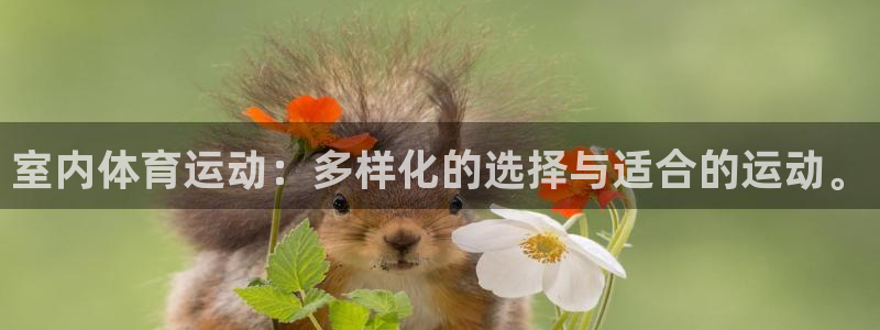 xcc是什么意思：室内体育运动：多样化的选择与适合的运动。