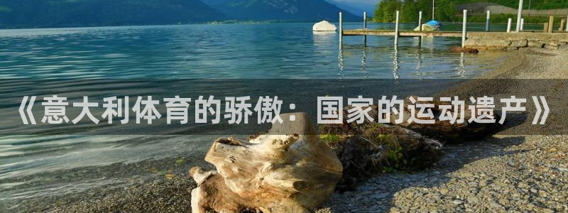 沃尔沃xc 90：《意大利体育的骄傲：国家的运动遗产》