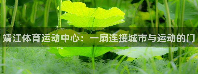 杏彩xc登录：靖江体育运动中心：一扇连接城市与运动的门
