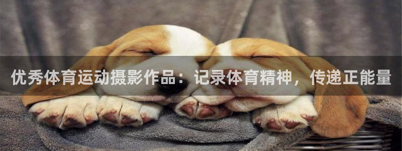 杏彩xc3平台注册：优秀体育运动摄影作品：记录体育精神，传递正能量