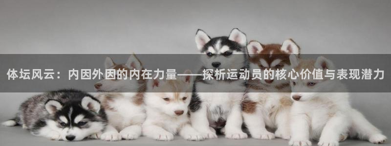 xc5：体坛风云：内因外因的内在力量——探析运动员的核心价值与表现潜力