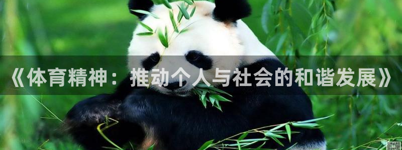 xl和xc分别表示什么：《体育精神：推动个人与社会的和谐发展》