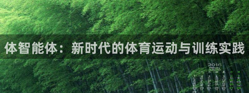 xc15：体智能体：新时代的体育运动与训练实践