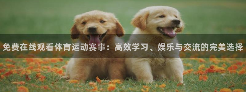 xc40：免费在线观看体育运动赛事：高效学习、娱乐与交流的完美选择