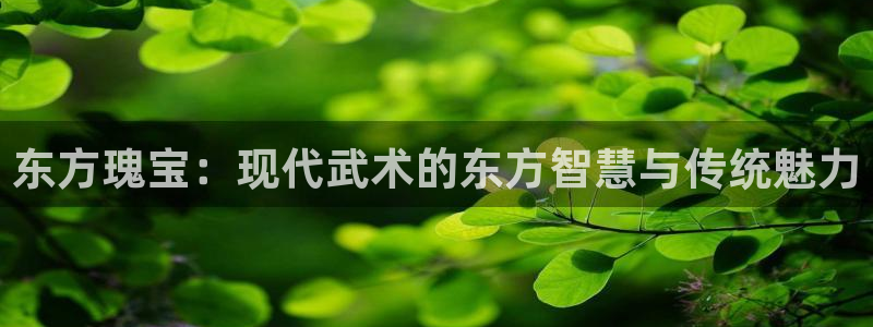 杏彩xc2官网：东方瑰宝：现代武术的东方智慧与传统魅力