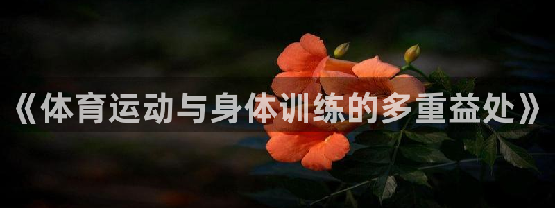老婆的xc是什么：《体育运动与身体训练的多重益处》