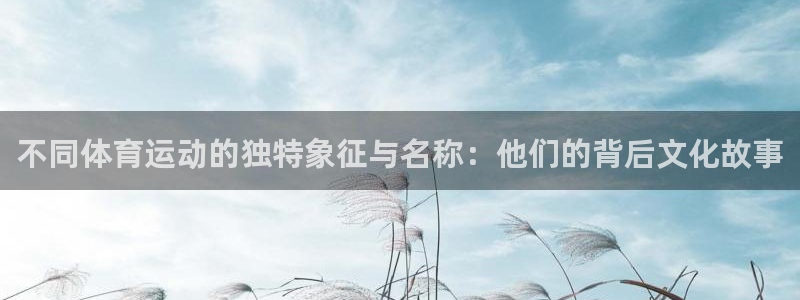 杏彩xc4平台：不同体育运动的独特象征与名称：他们的背后文化故事