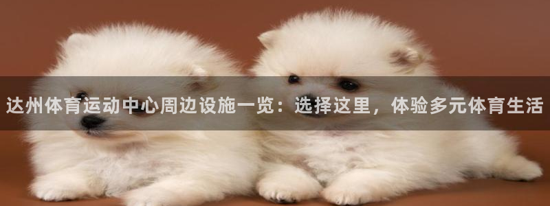 xc是啥：达州体育运动中心周边设施一览：选择这里，体验多元体育生活