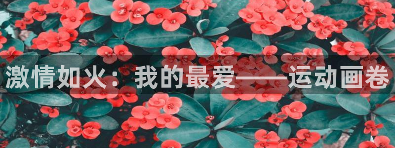 杏彩xc4注册：激情如火：我的最爱——运动画卷