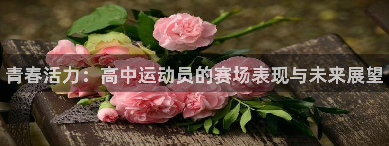 沃尔沃xc60有s档位吗：青春活力：高中运动员的赛场表现与未来展望