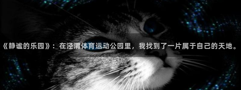 xc是什么：《静谧的乐园》：在泾渭体育运动公园里，我找到了一片属于自己的天地。
