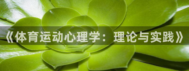 杏彩xc体育官网登录：《体育运动心理学：理论与实践》