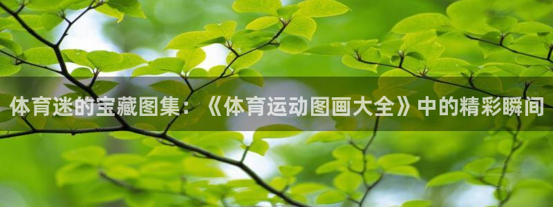 xc@：体育迷的宝藏图集：《体育运动图画大全》中的精彩瞬间
